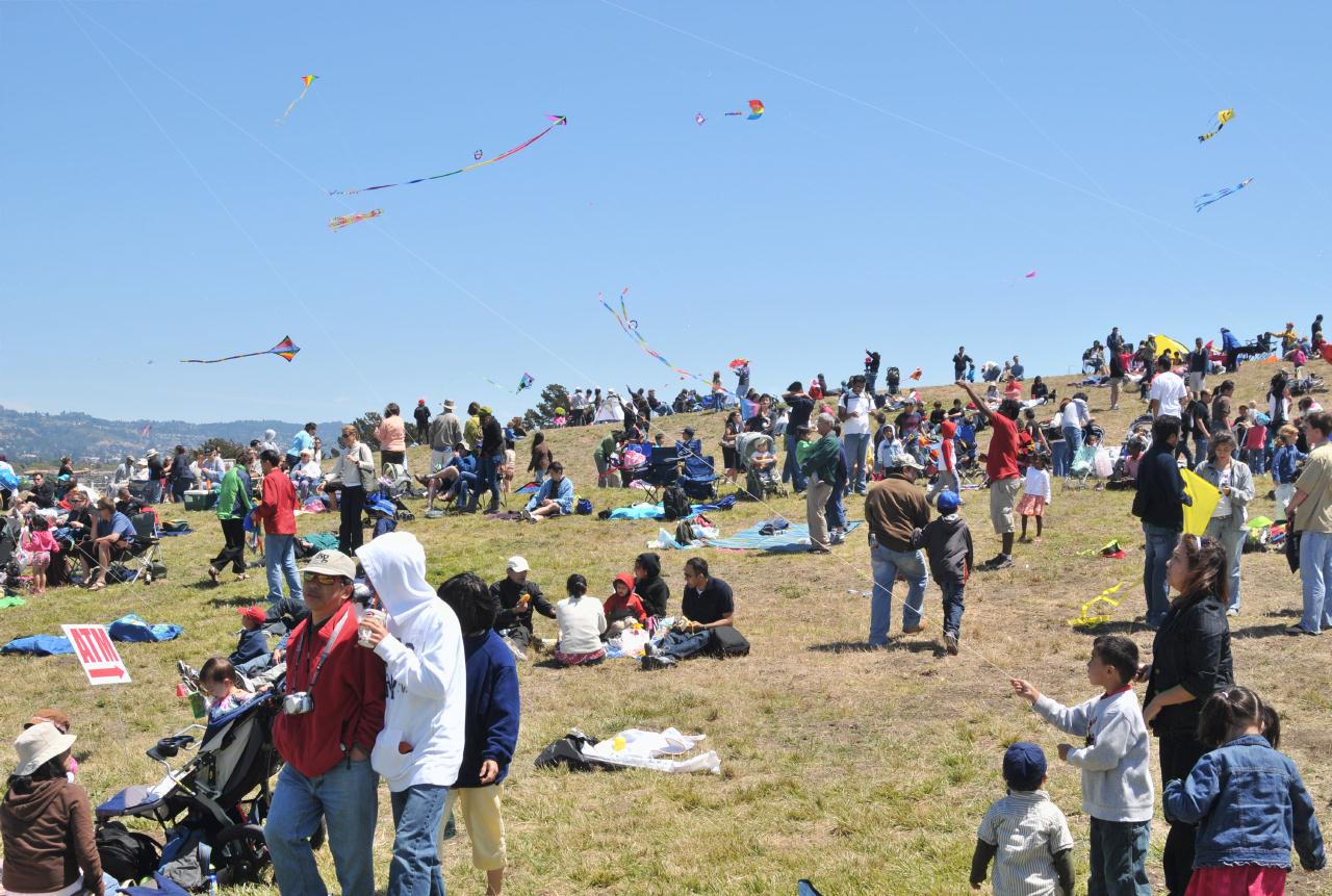 ./BerkeleyKite20090725_42_141400_7545BCX.jpg