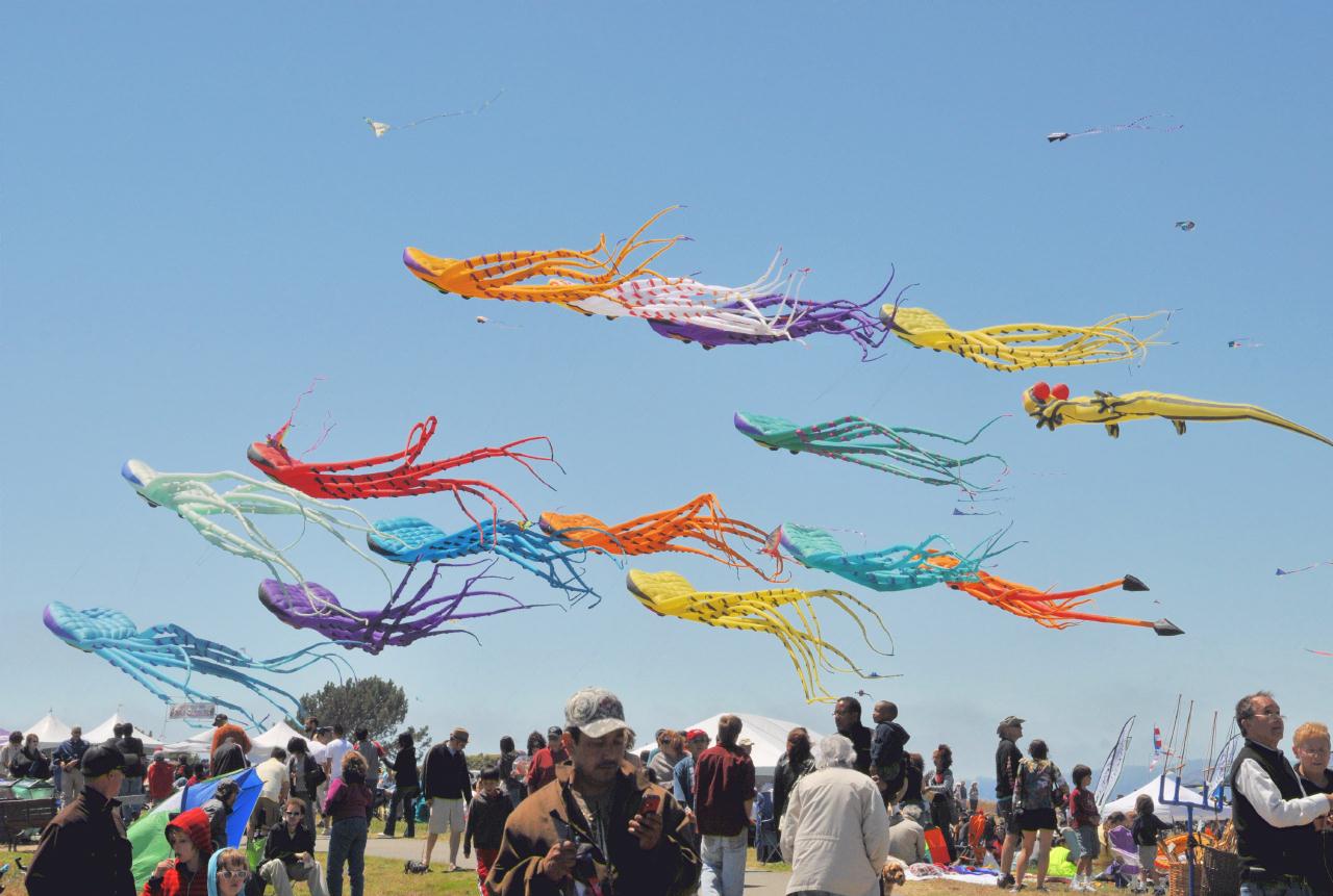 ./BerkeleyKite20090725_46_141722_6837TNT.jpg