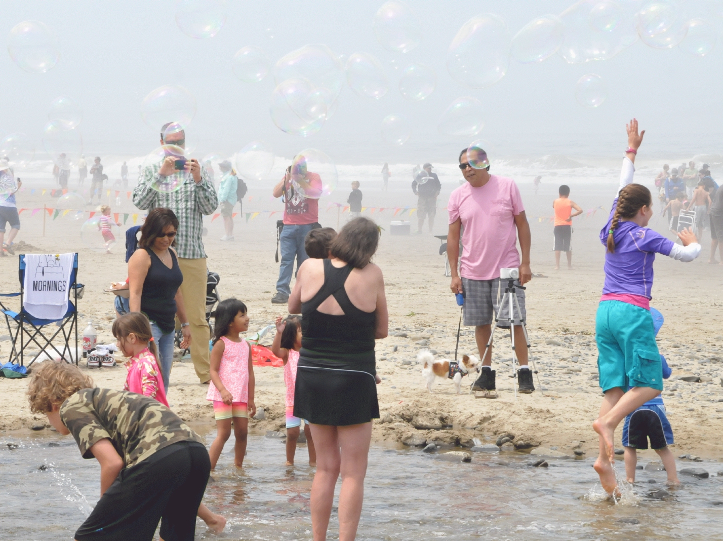 ./Lincoln_Kite_Festival_20150627_122536_C15_3134.jpg