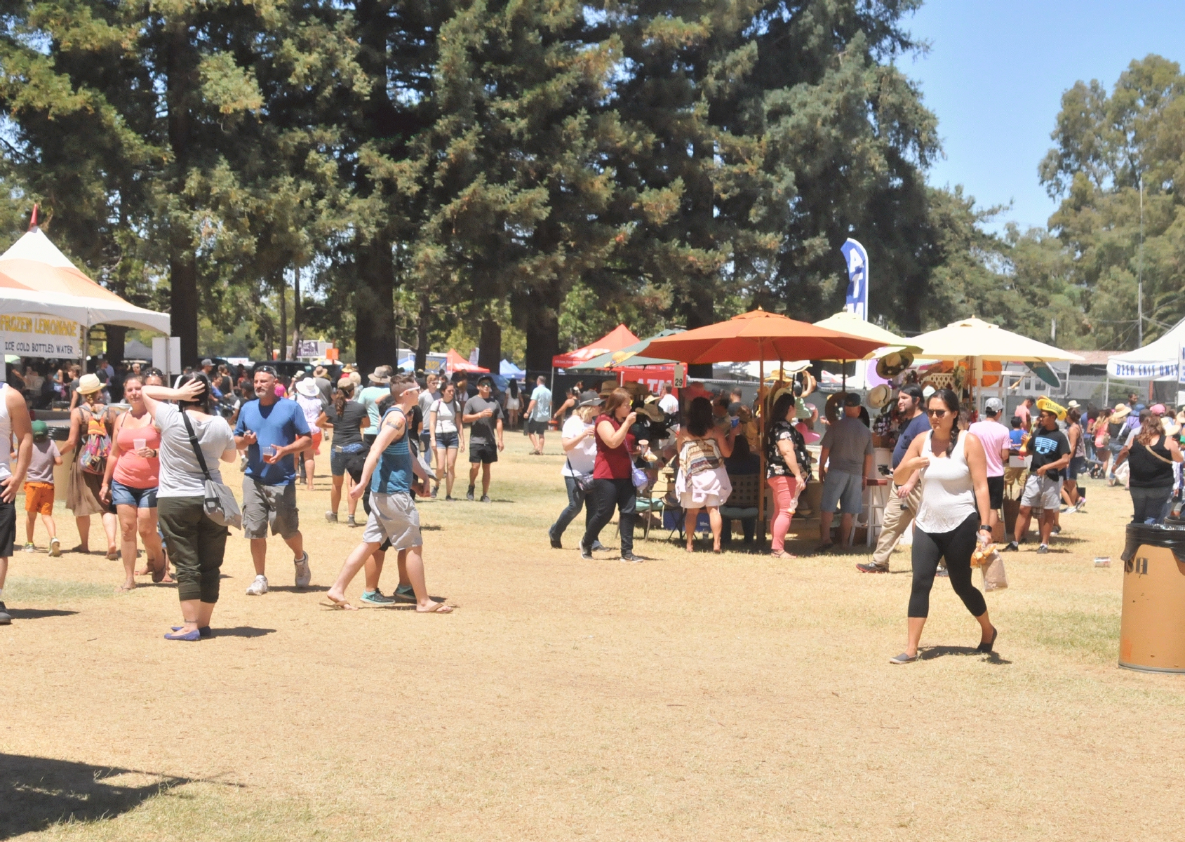 ./Gilroy_Garlic_Fetival_20170730_134449_C17_4831.jpg