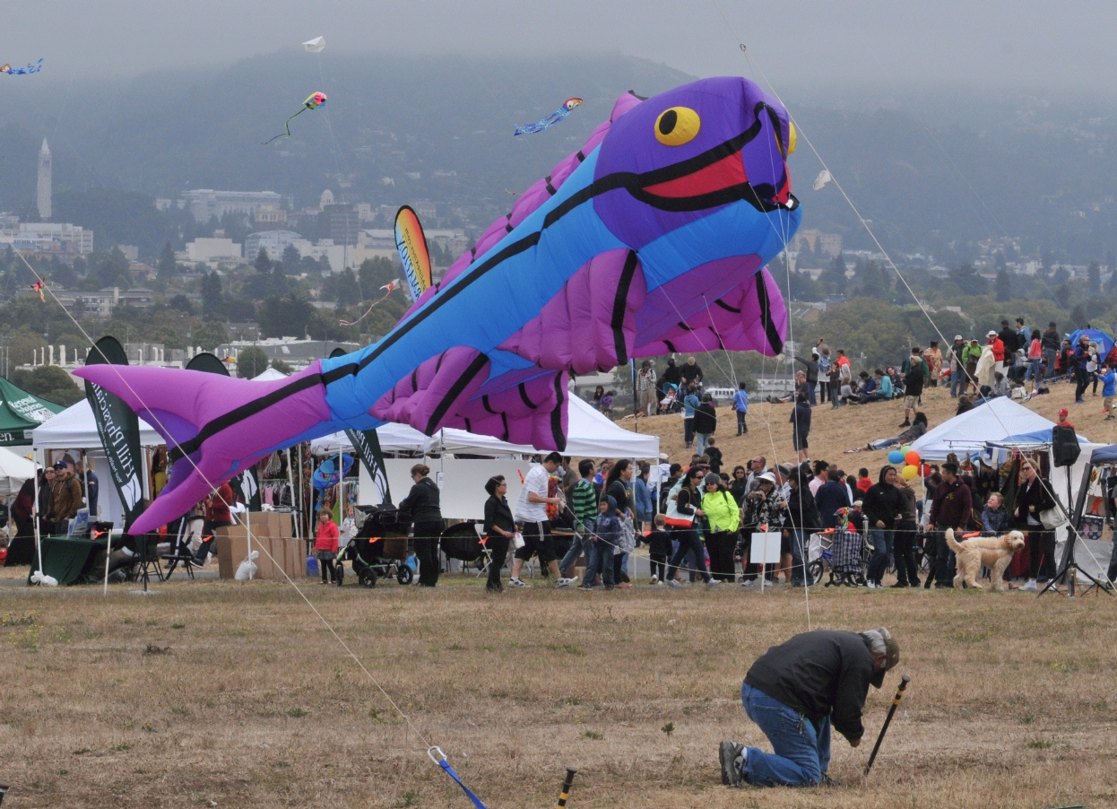 ./Berkeley_Kite_Festerval_20130728_125435_B13_6837.jpg