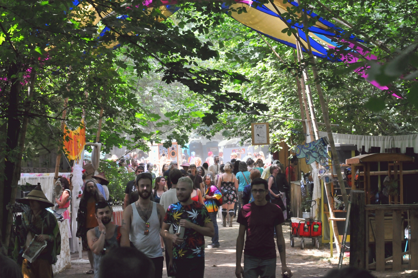 ./Oregon_Country_Fair_20150712_132046_C15_3555.jpg