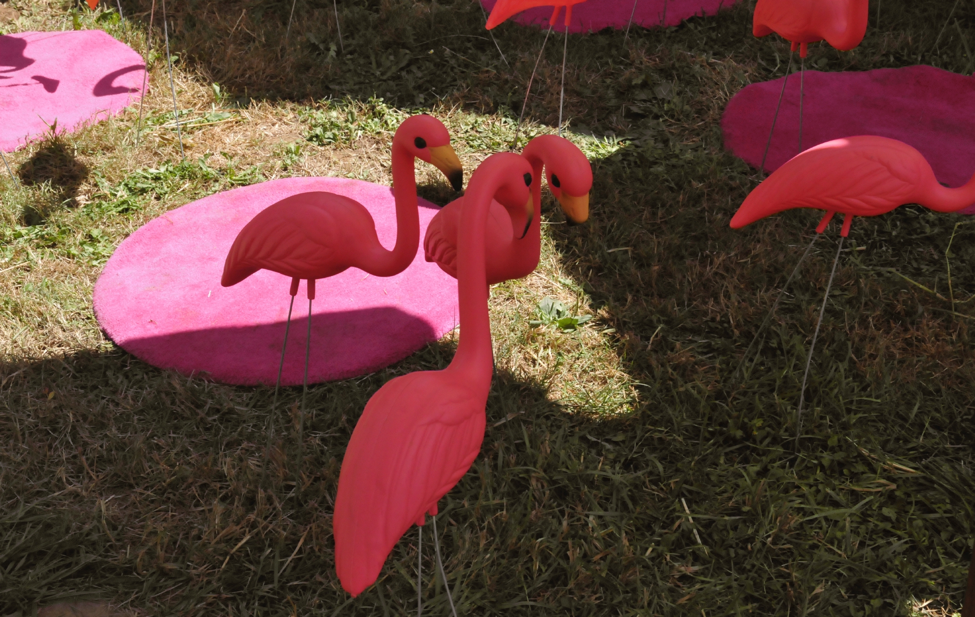 ./Oregon_Country_Fair_20160709_115626_C16_8046.jpg