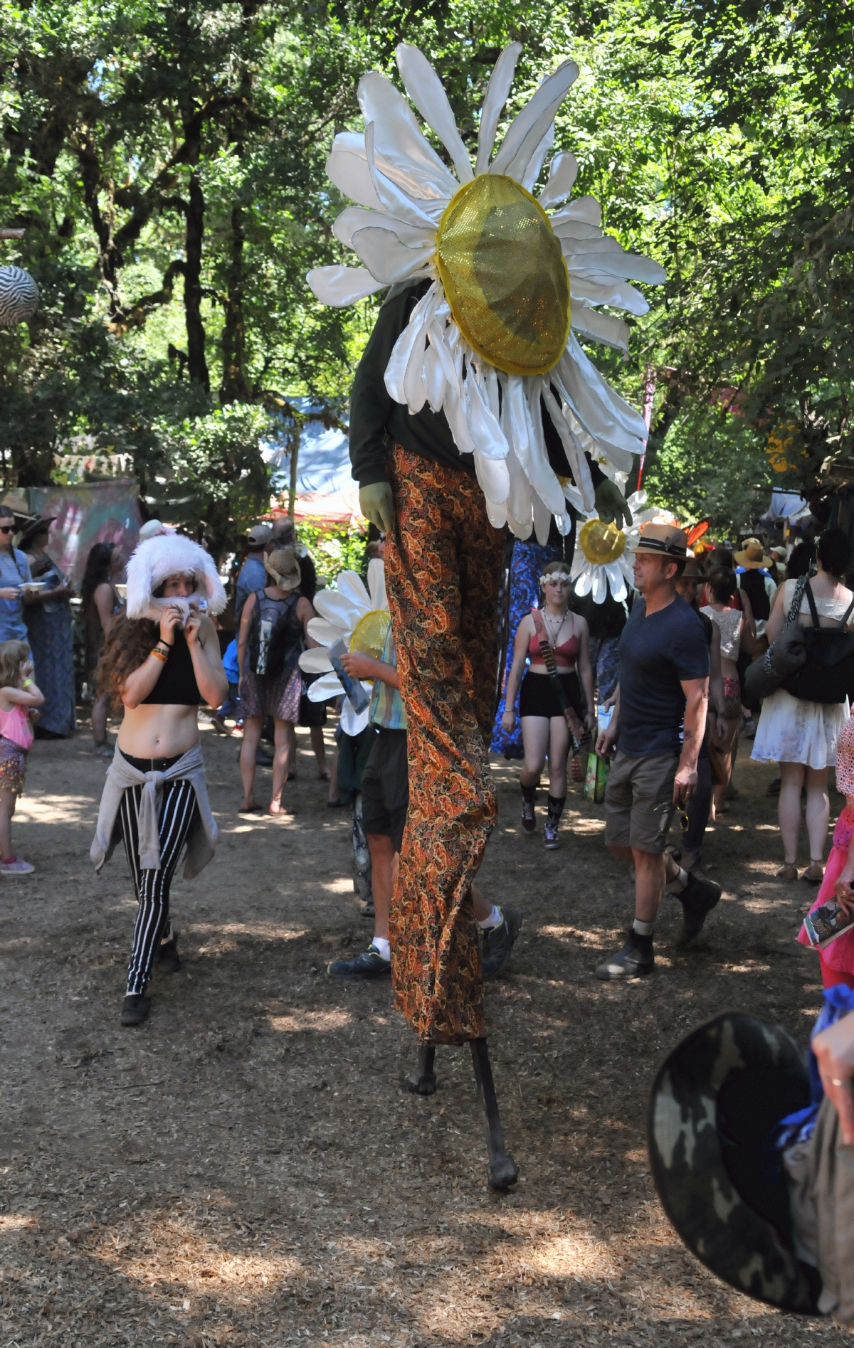 ./Oregon_Country_Fair_Veneta_Oregon_20170708_120236_C17_4438.jpg