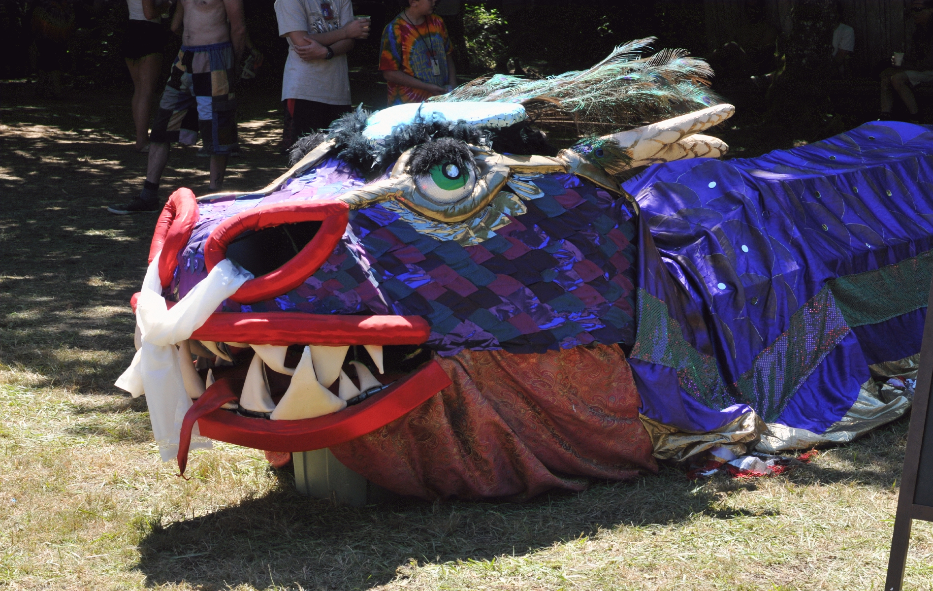 ./Oregon_Country_Fair_20180714_121427_C18_6838.jpg