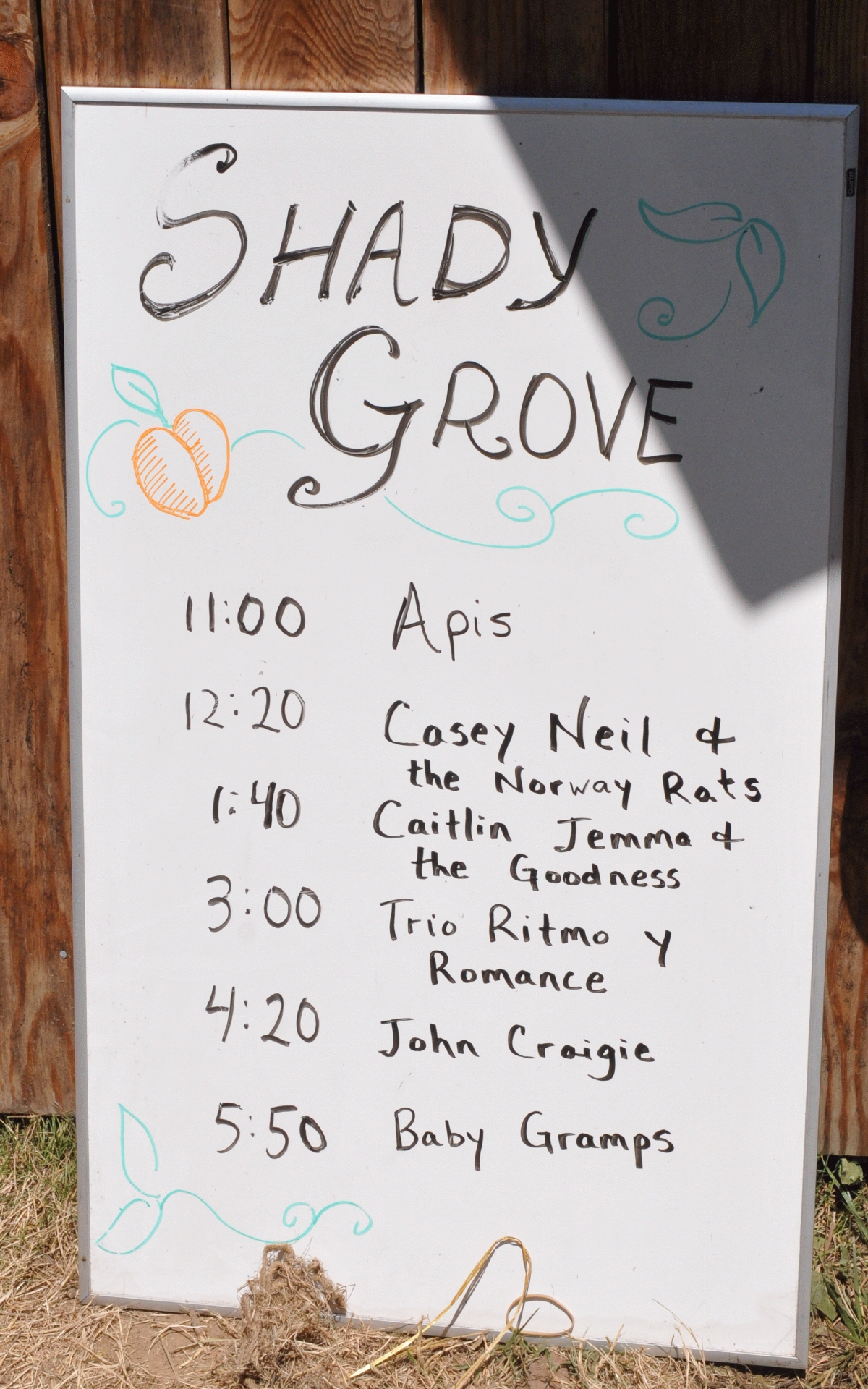 ./Shady_Grove_Stage_Oregon_Country_Fair_20190713_132145_C19_3244.jpg