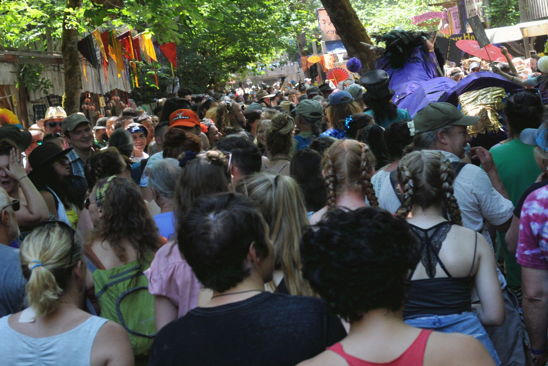 ./The_Oregon_Country_Fair_20190713_140444_C19_3304.jpg