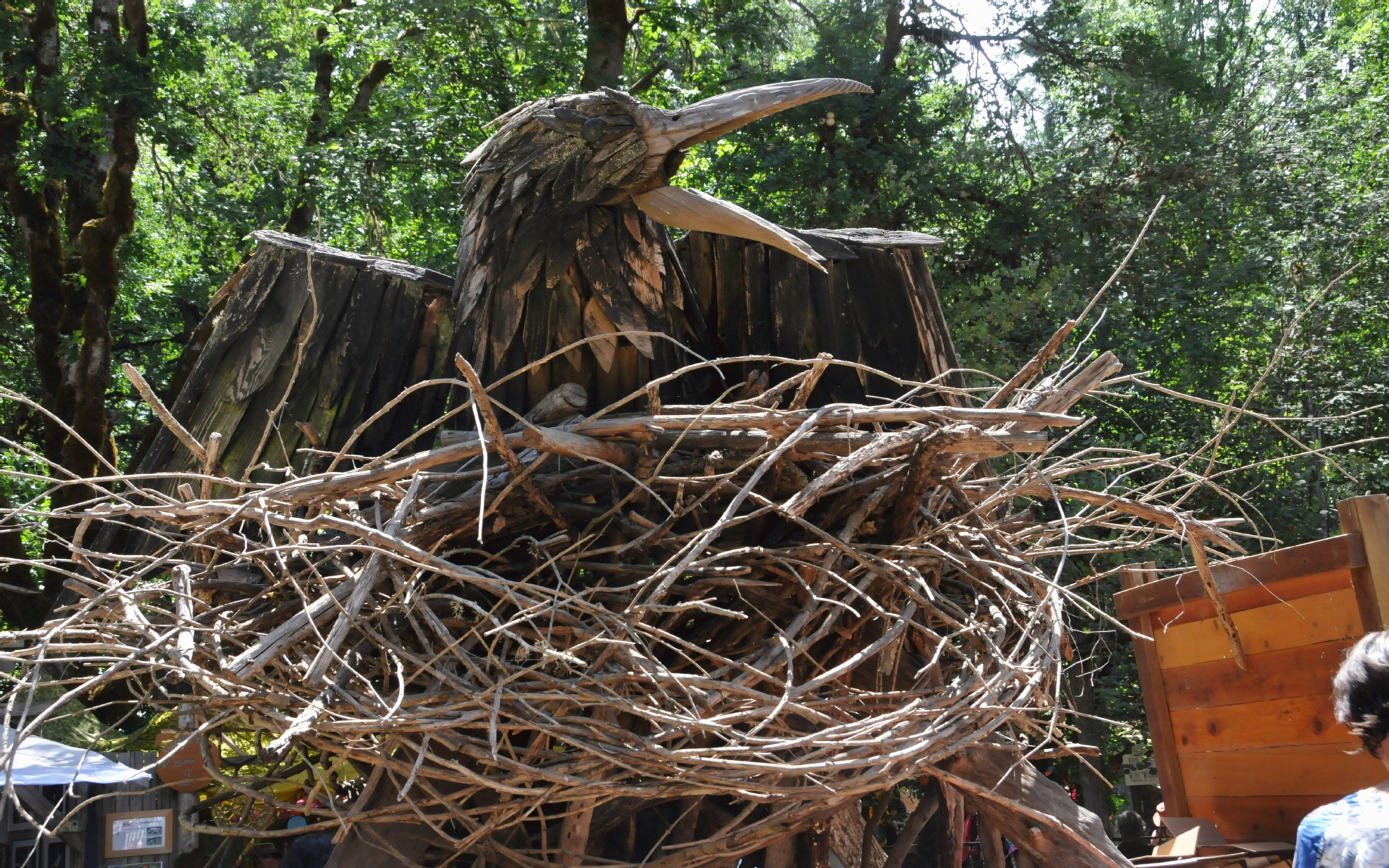 ./Bird_Art_Oregon_country_Fair_20230708_123526_C23_0776.jpg