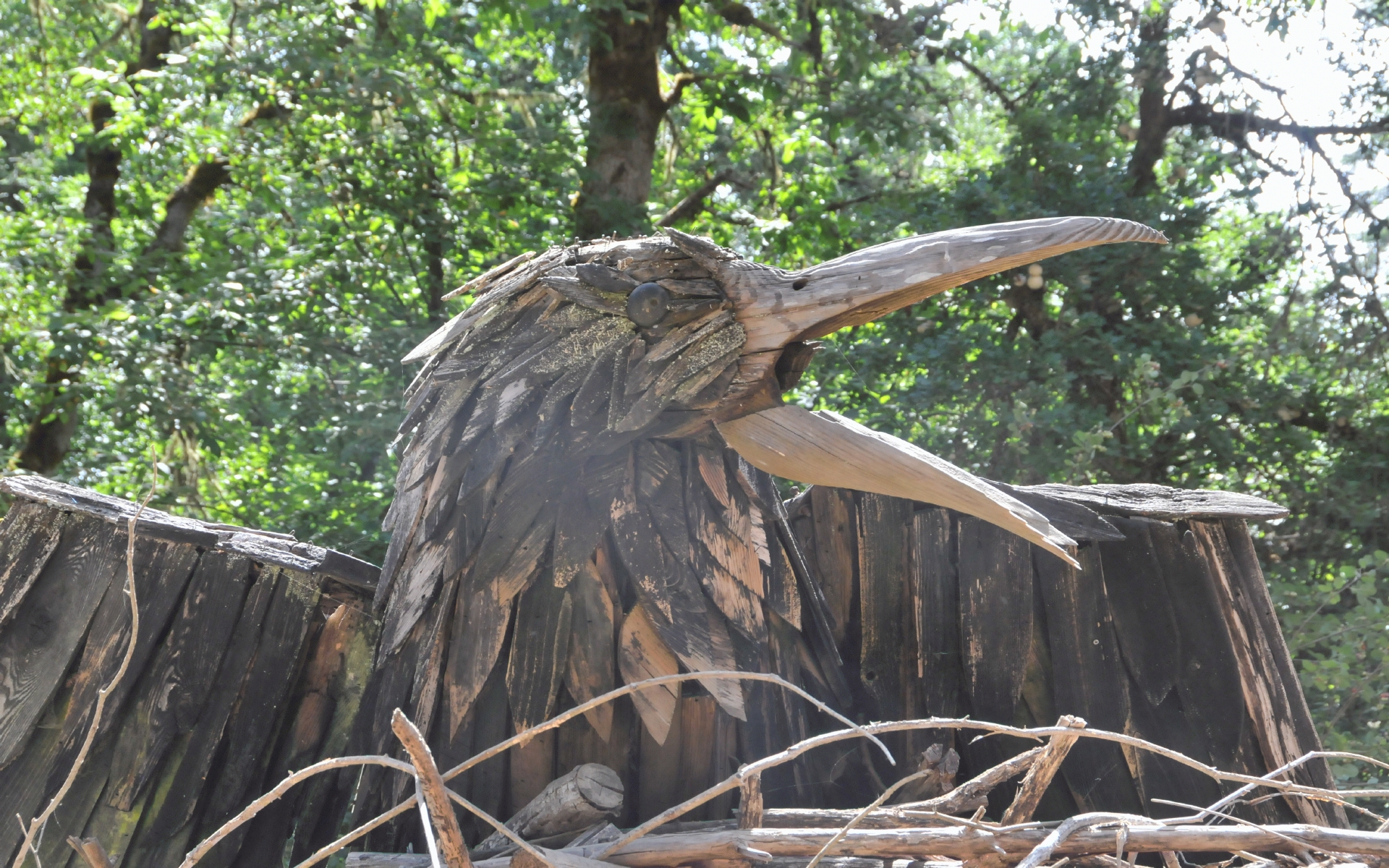 ./Bird_Art_Oregon_country_Fair_20230708_123530_C23_0777.jpg