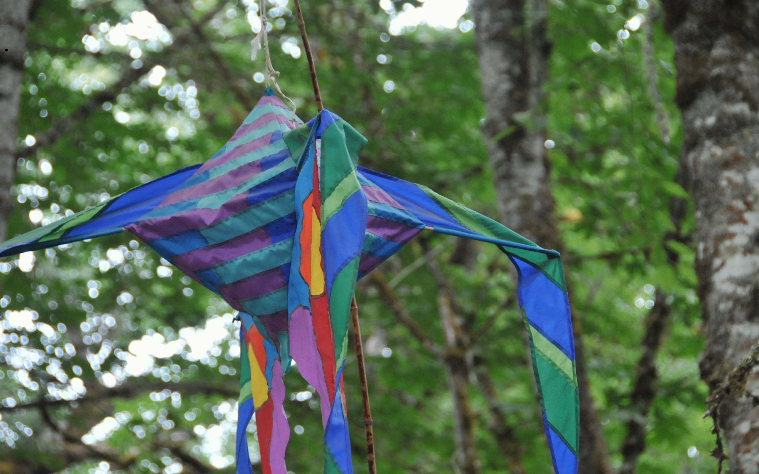 ./Bridge_Art_oregon_country_Fair_230708_115211_C23_0673.jpg