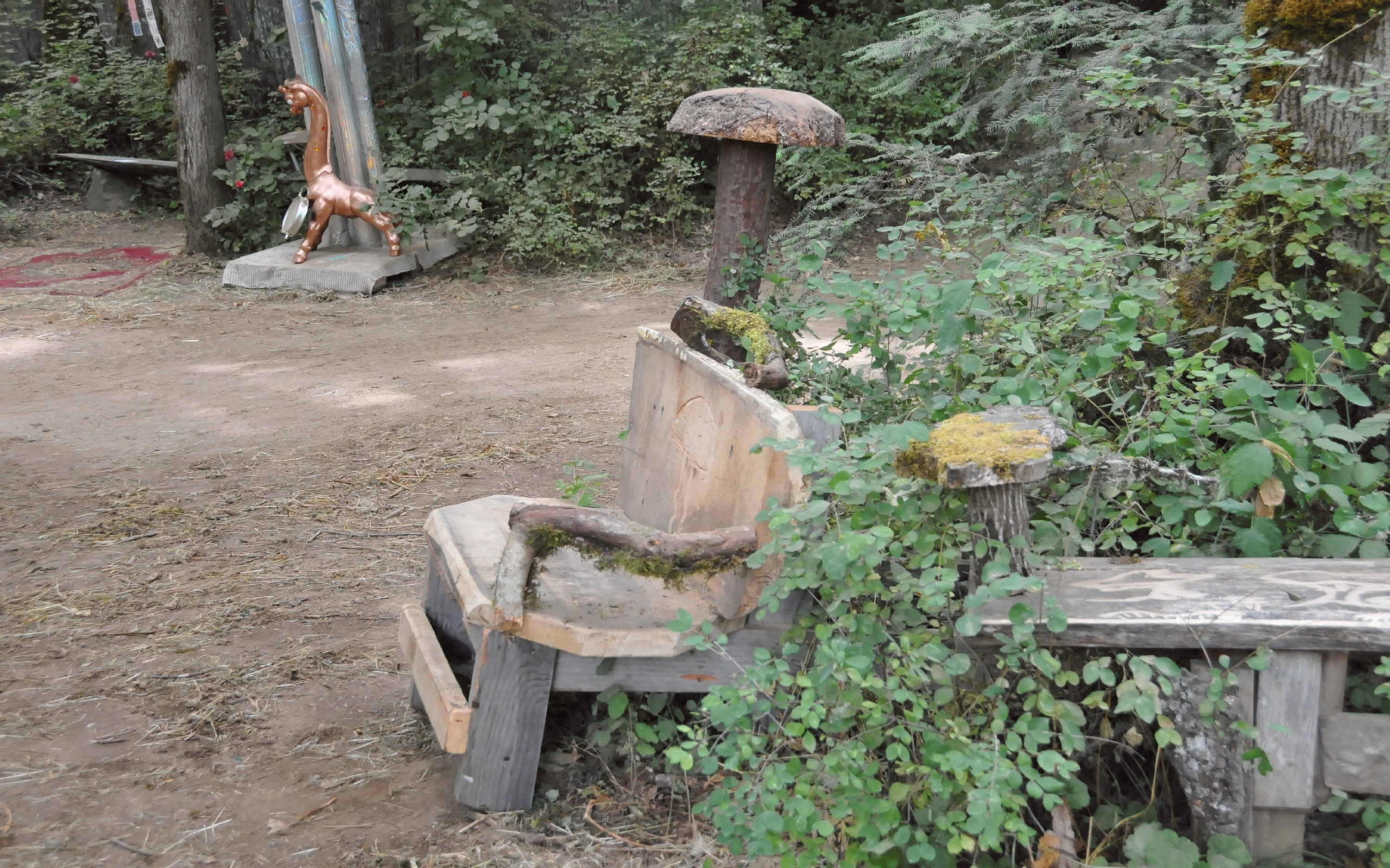 ./Benches_OregonCountry_Fair_20230708_120919_C23_0739.jpg