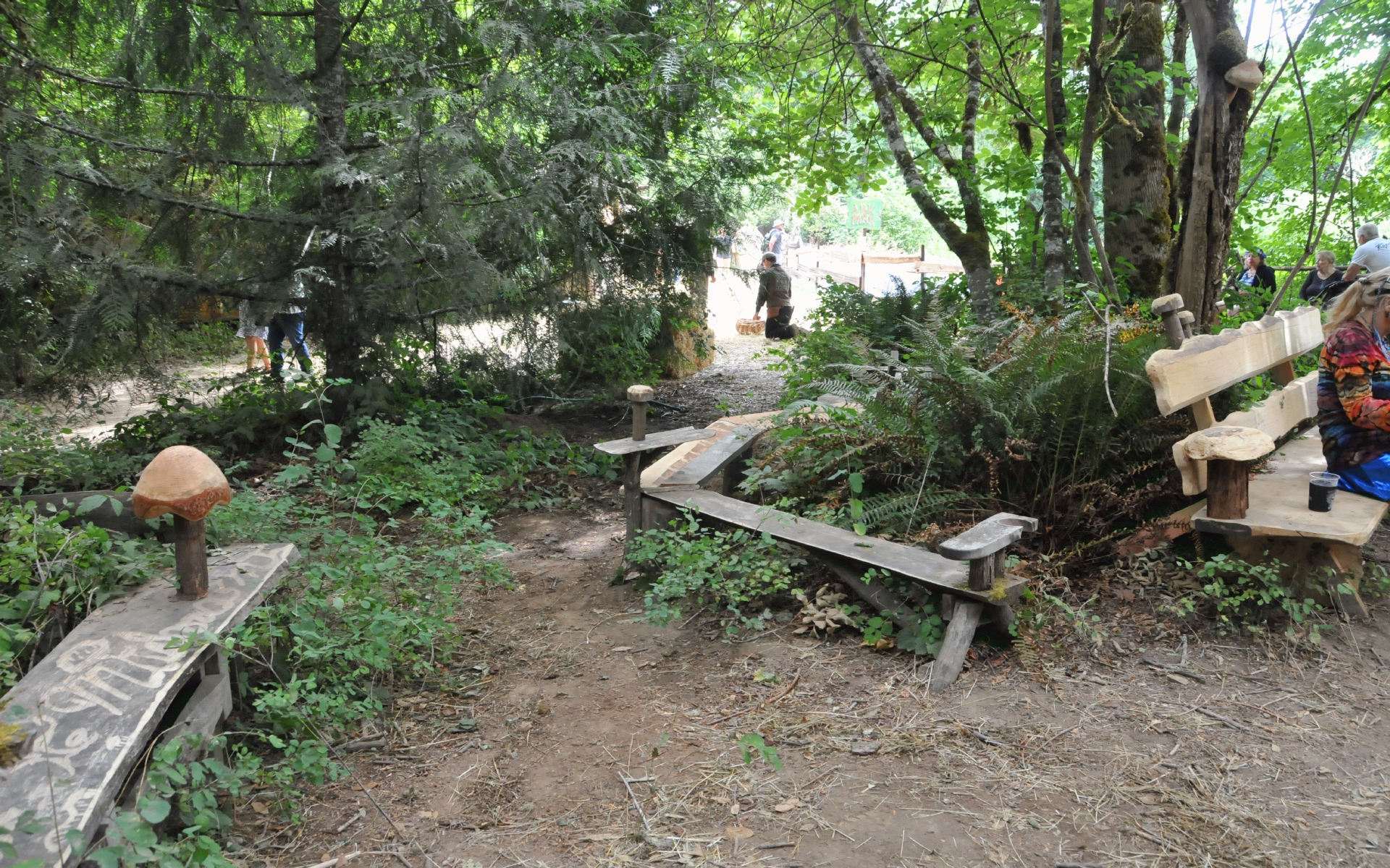 ./Benches_OregonCountry_Fair_20230708_120928_C24_0741.jpg