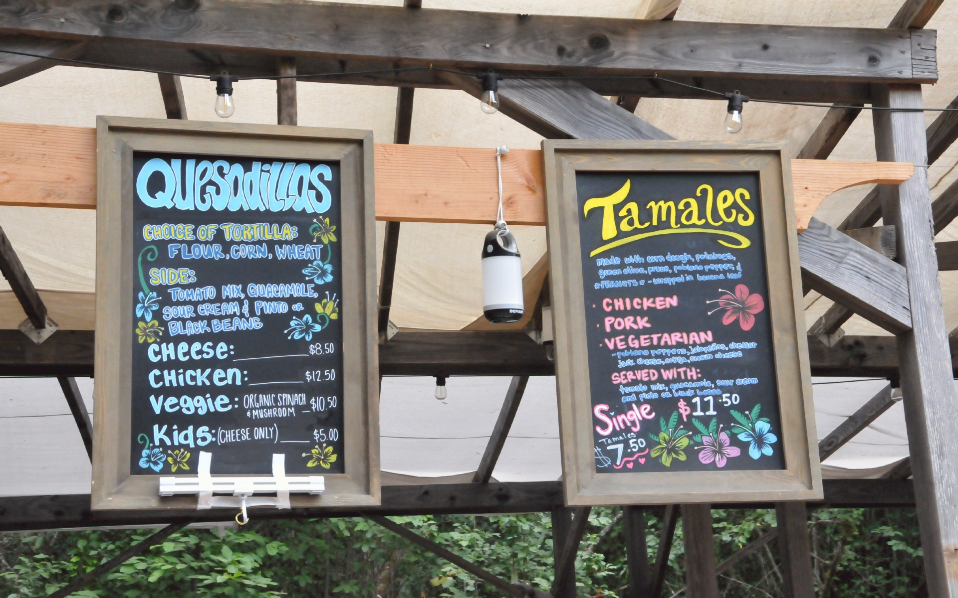 ./Saras_Tamales_Oregon_Country_Fair_20230708_111752_C23_0570.jpg