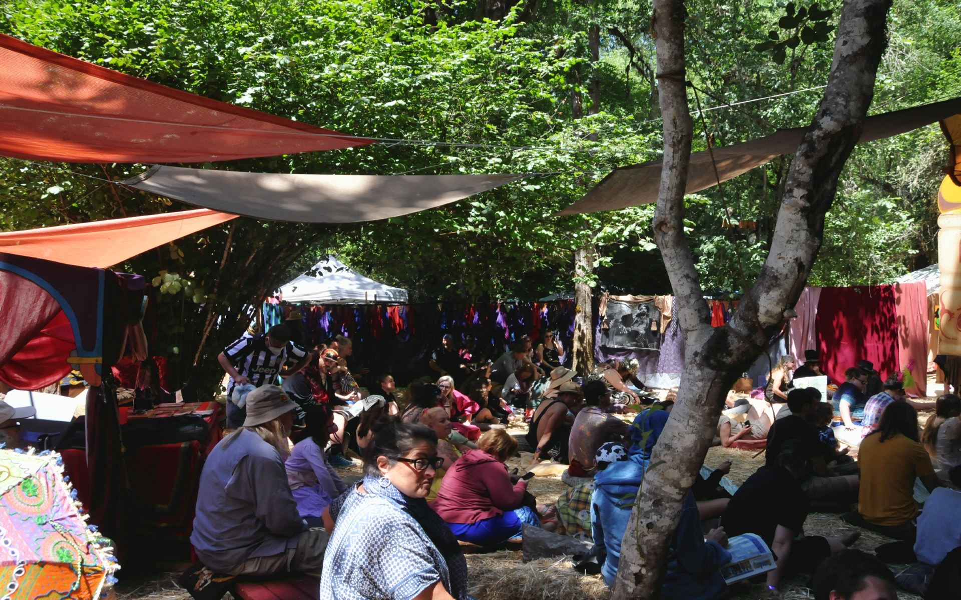 ./Caravan_Stage_Oregon_Country_Fair_20230708_125204_C23_0824.jpg