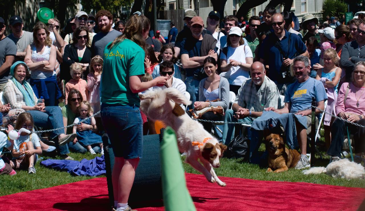 ./DogFestSF20090418_04_131114_4275BCX.jpg