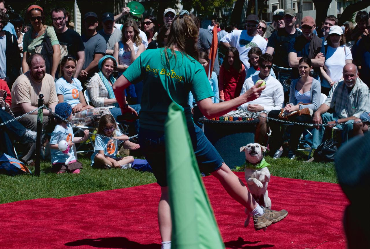 ./DogFestSF20090418_05_131234_4279BCX.jpg