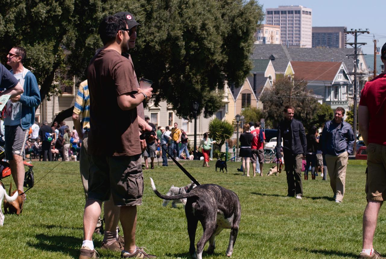 ./DogFestSF20090418_07_131332_4283BCX.jpg