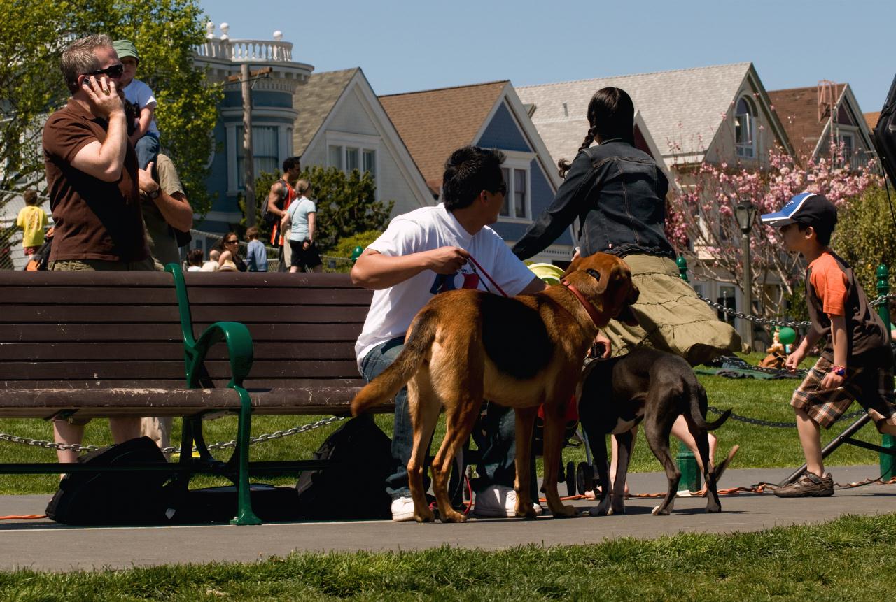 ./DogFestSF20090418_08_131346_4286BCX.jpg