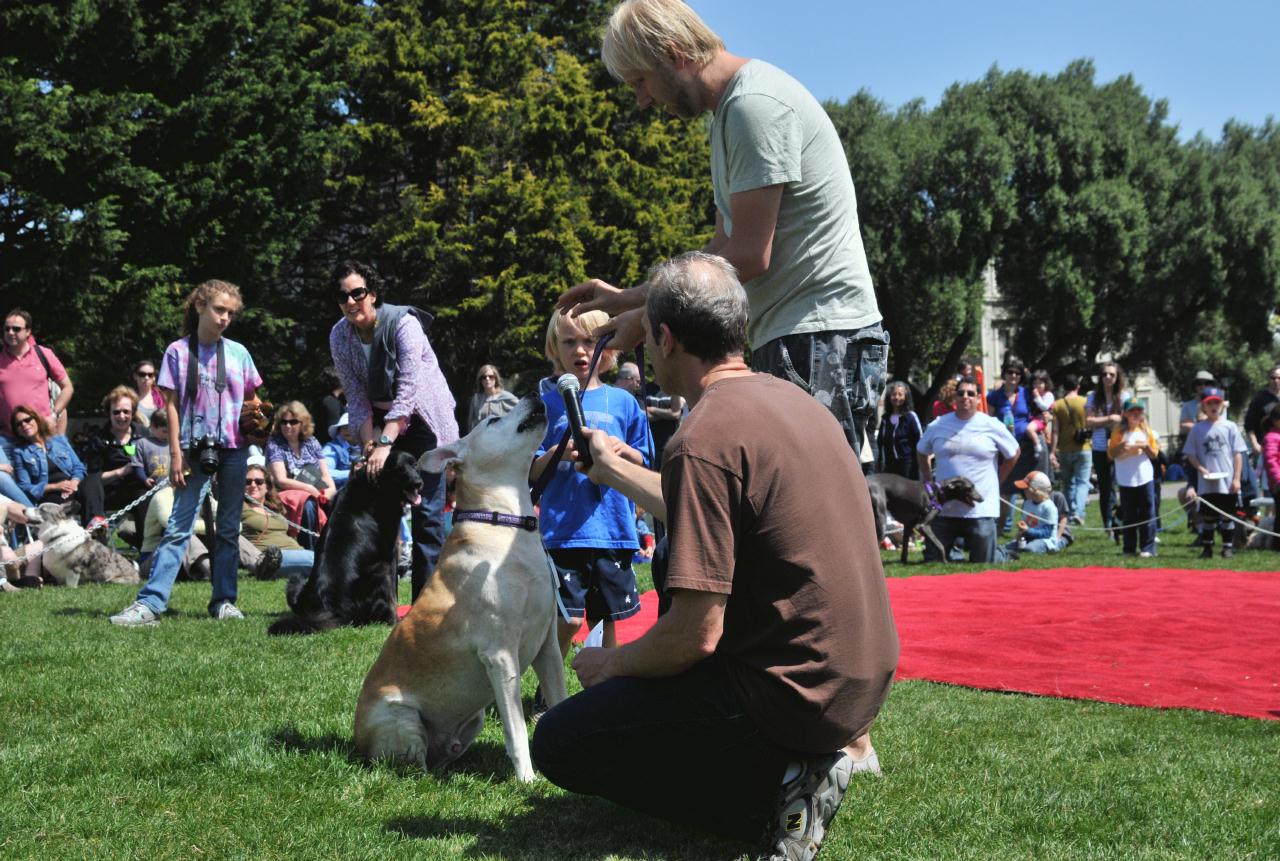 ./DogFestDuboceParkSF20100417_13_120512_4028BCX.jpg