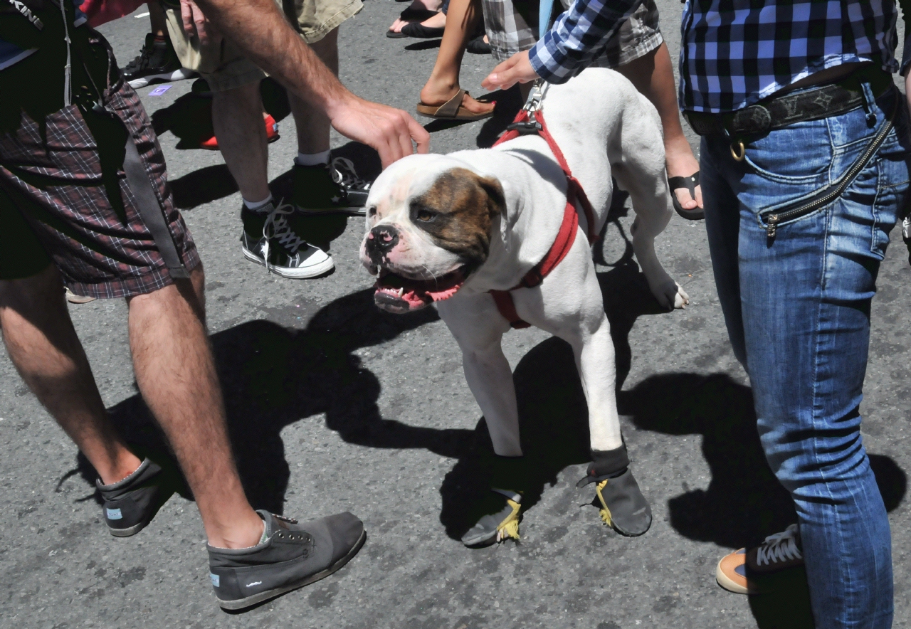 ./Haight_Street_Fair_20120610_135839_B12_6627.jpg