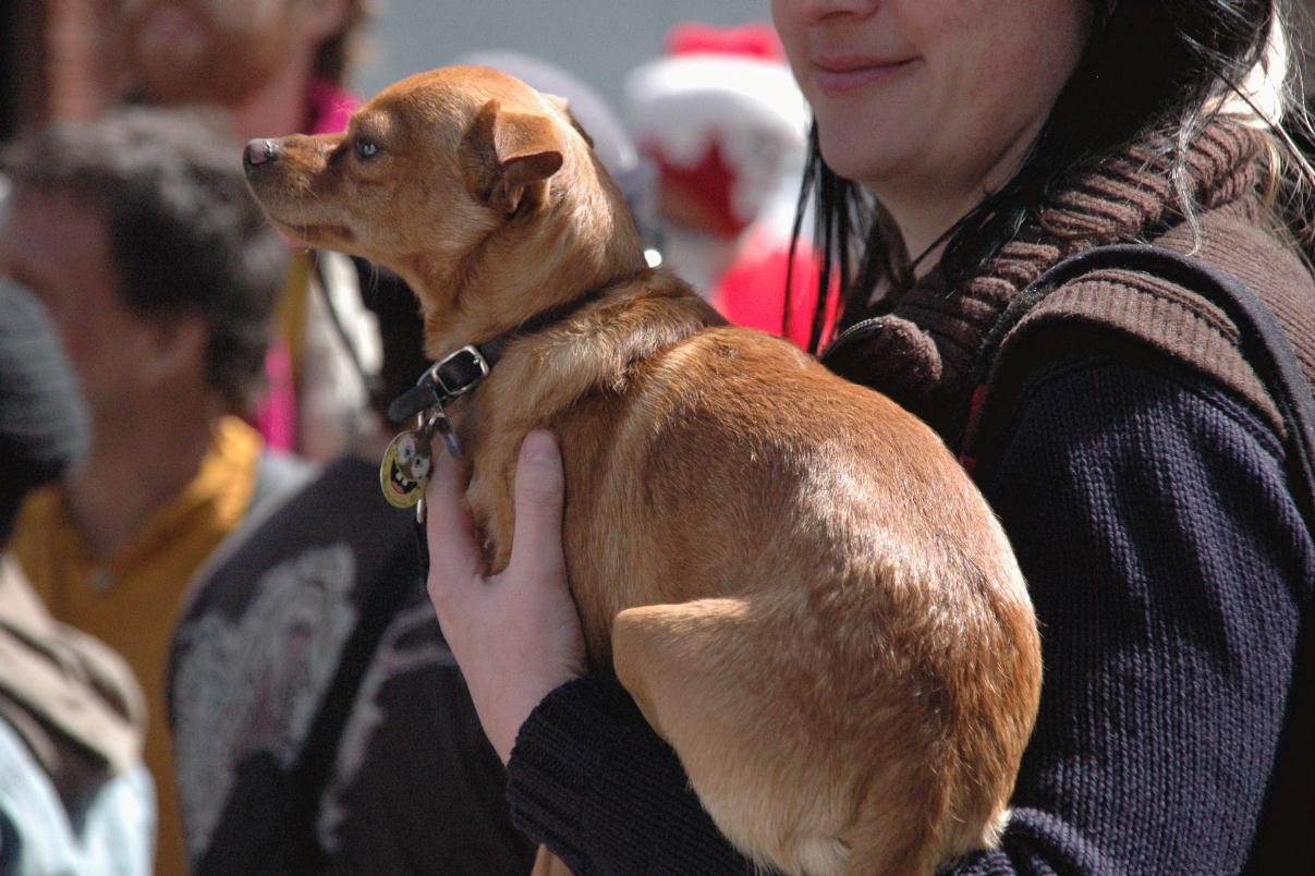 ./HowWeirdFairSF2008_20_2148T.jpg