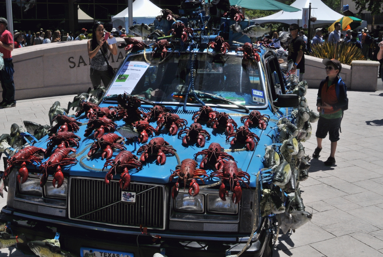 ./Maker_Faire_San_Mateo_Fairgrounds_20130518_122638_B13_3330.jpg