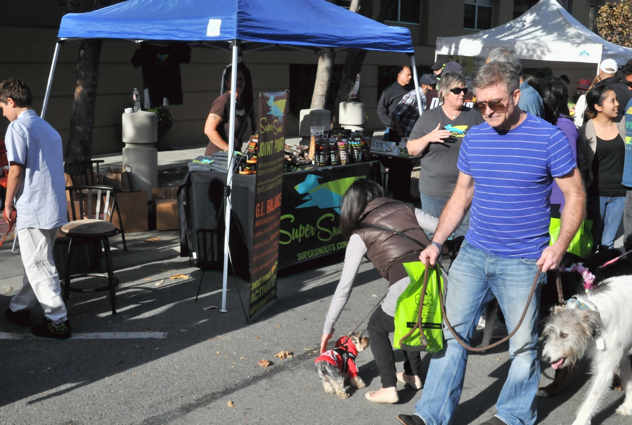 ./Pawtrero_Dog_Halloween_20121103_153409_C13_5151.jpg