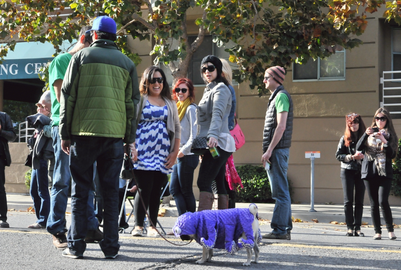 ./Pawtrero_Dog_Halloween_20121103_153621_C13_5160.jpg