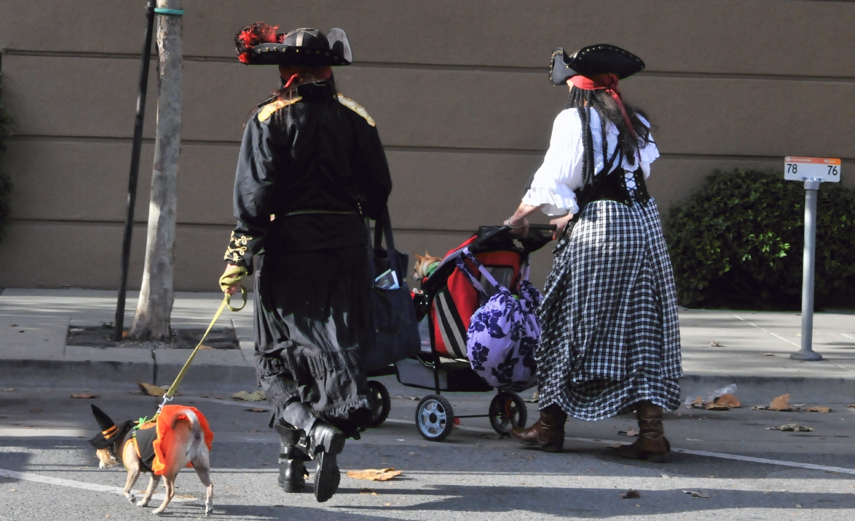 ./Pawtrero_Dog_Halloween_20121103_153704_C13_5165.jpg