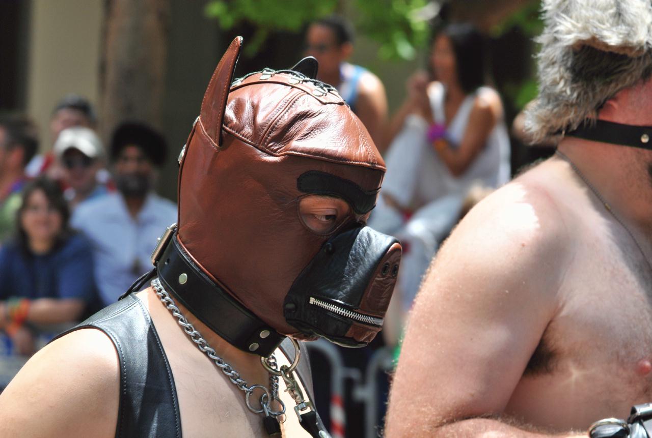 ./LGBTParadeSF20090628_117_123450_6055BCX.jpg