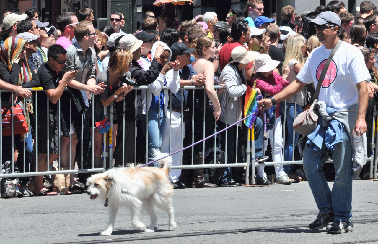 ./Pride_Dogs_20110626_121459_B11_5962.jpg