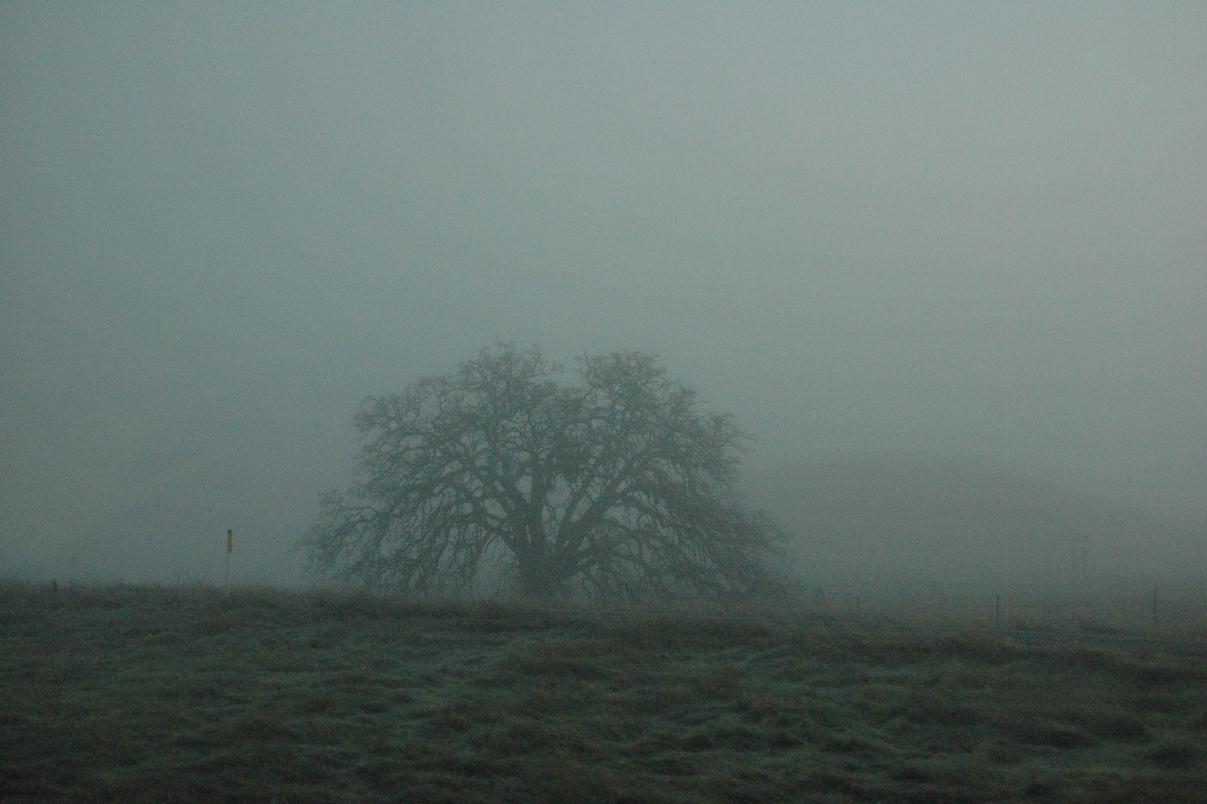 ./Fog_20060000_01.jpg