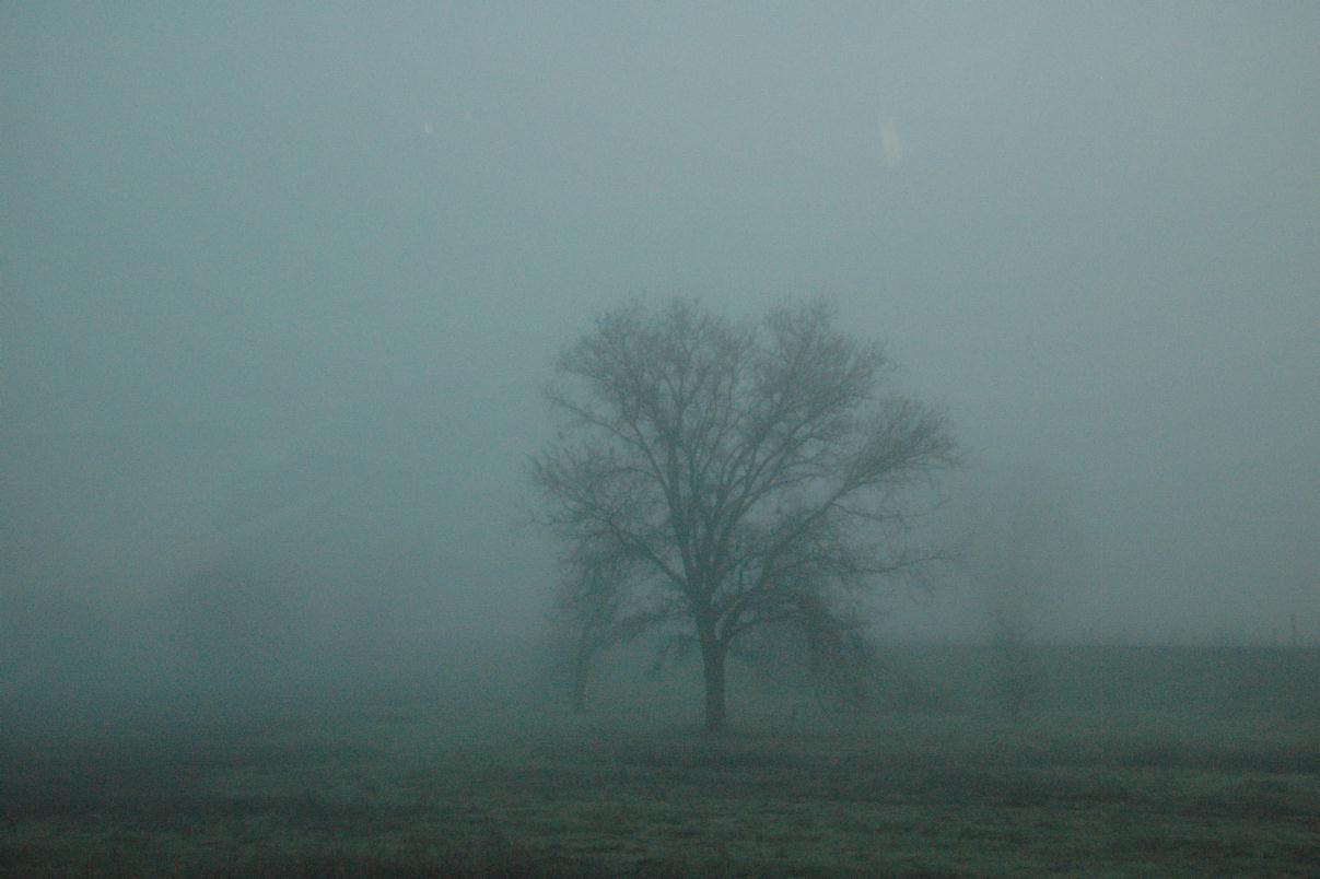 ./Fog_20060000_02.jpg