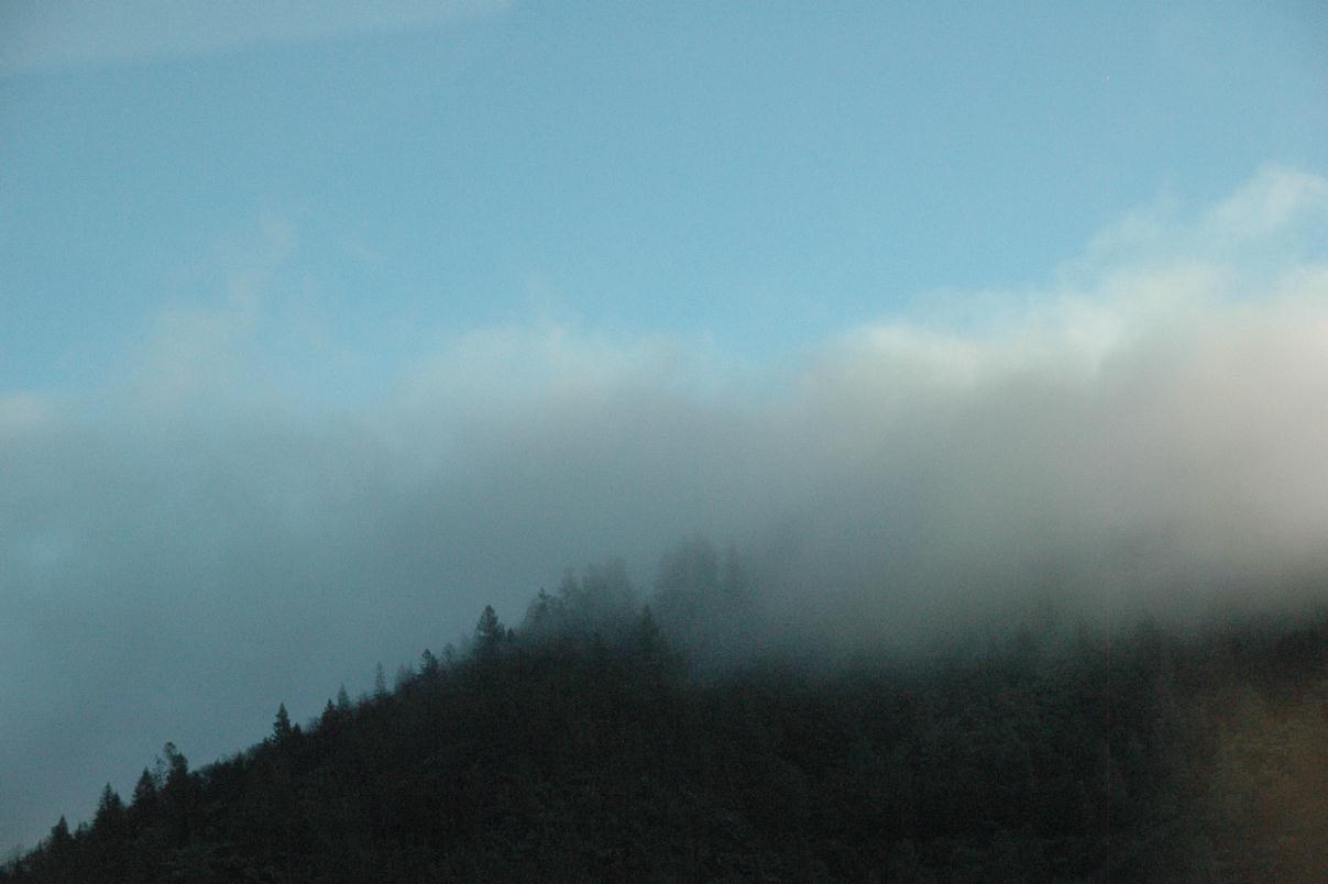 ./Fog_20060000_04.jpg