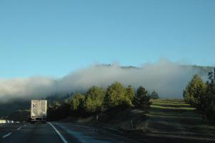 Fog_20060000_03.jpg