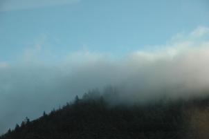 Fog_20060000_04.jpg