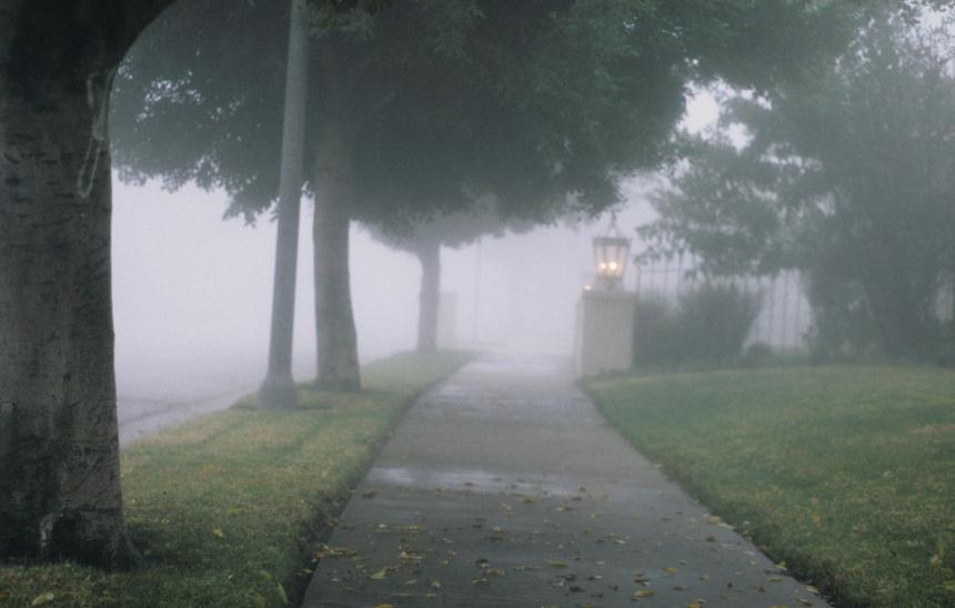 ./Fog_19920000_La_01.jpg