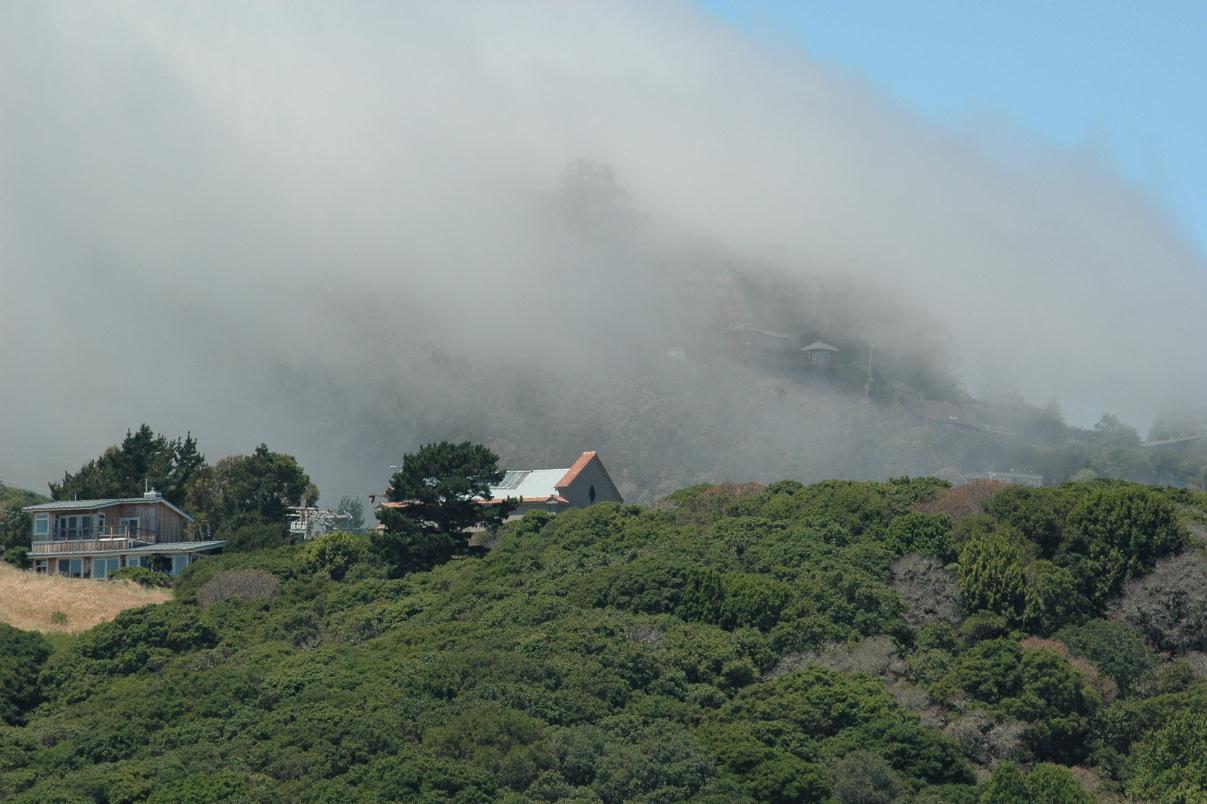 ./Fog_20080518_114520_Sausalito_HornBlower_2762B.jpg