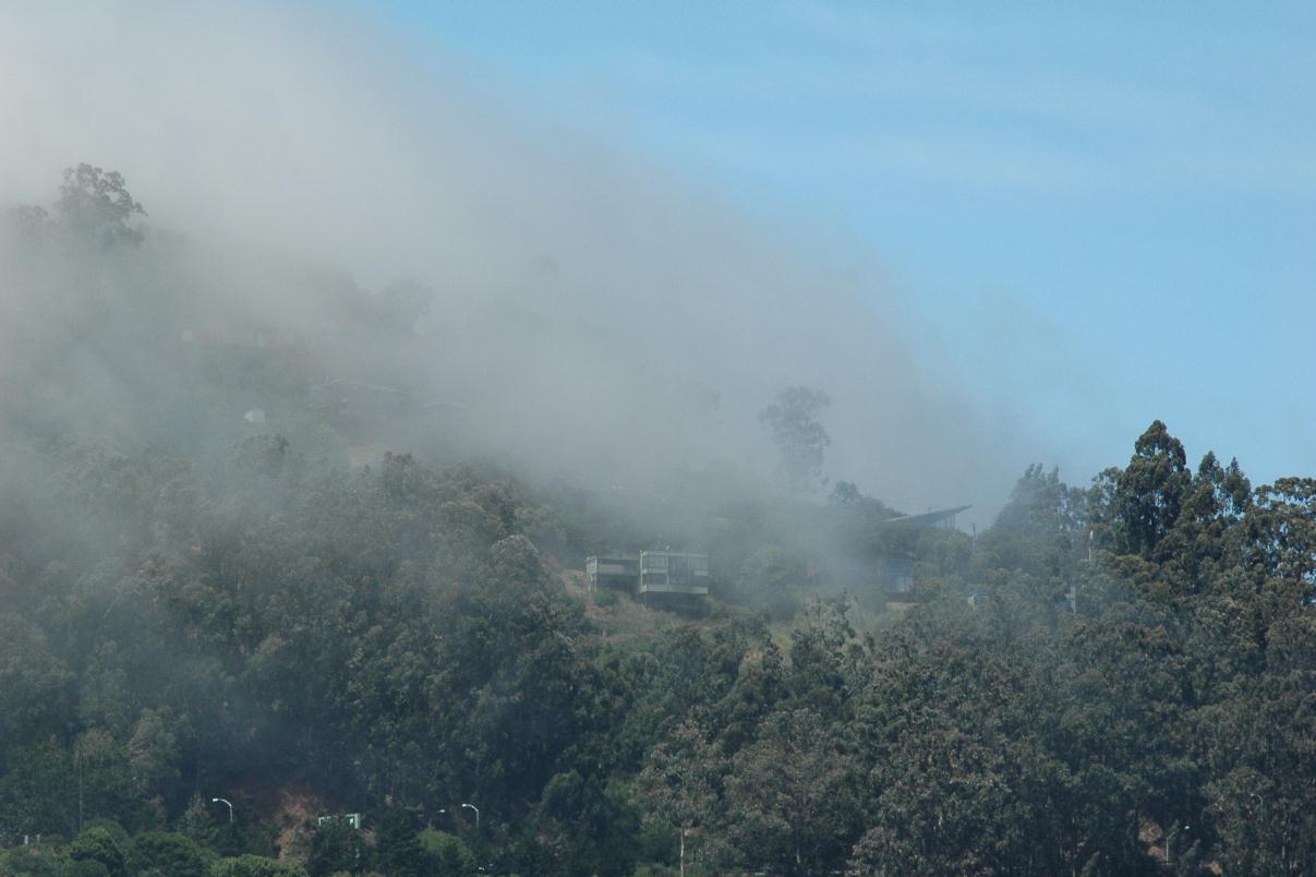 ./Fog_20080518_114632_Sausalito_HornBlower_2765B.jpg