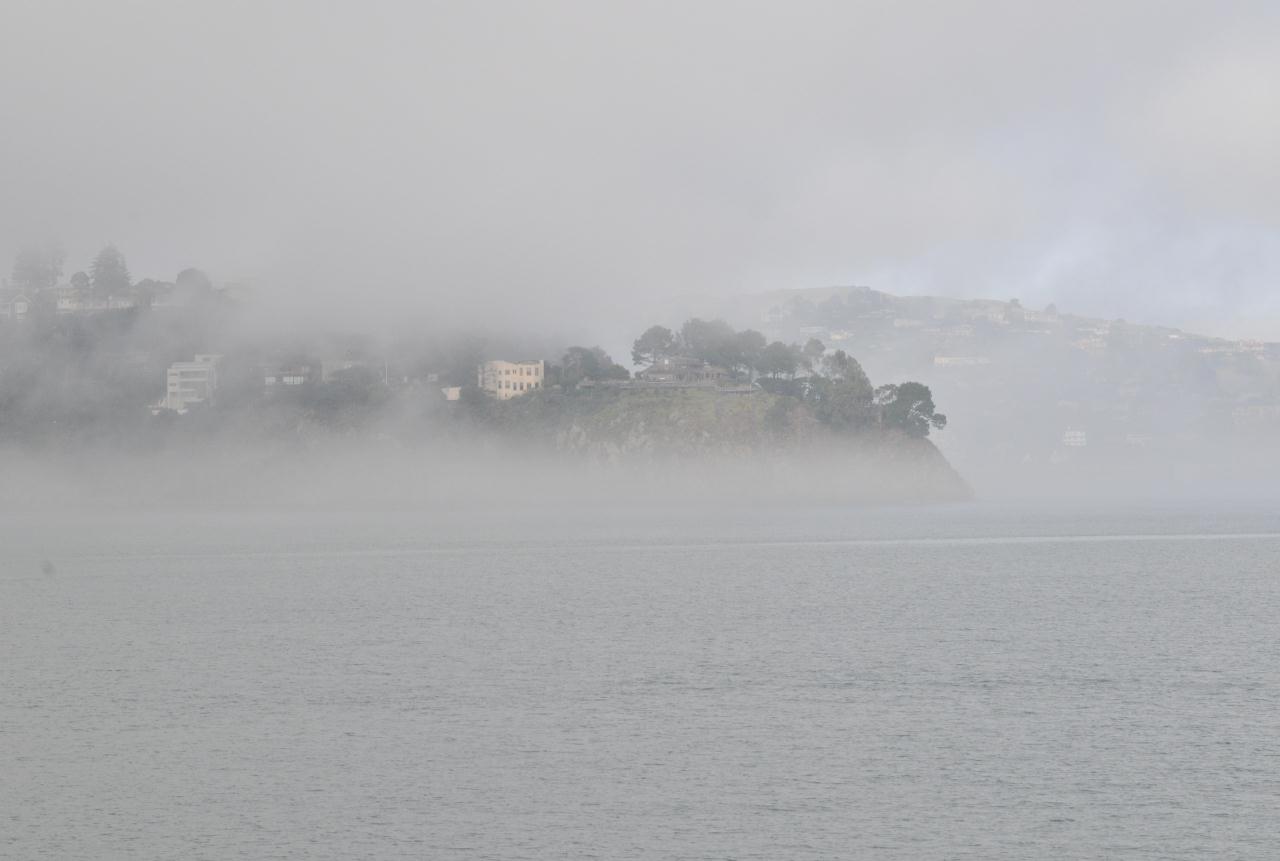 ./Fog_20101211_144517_Tiberon_2987BCY.jpg