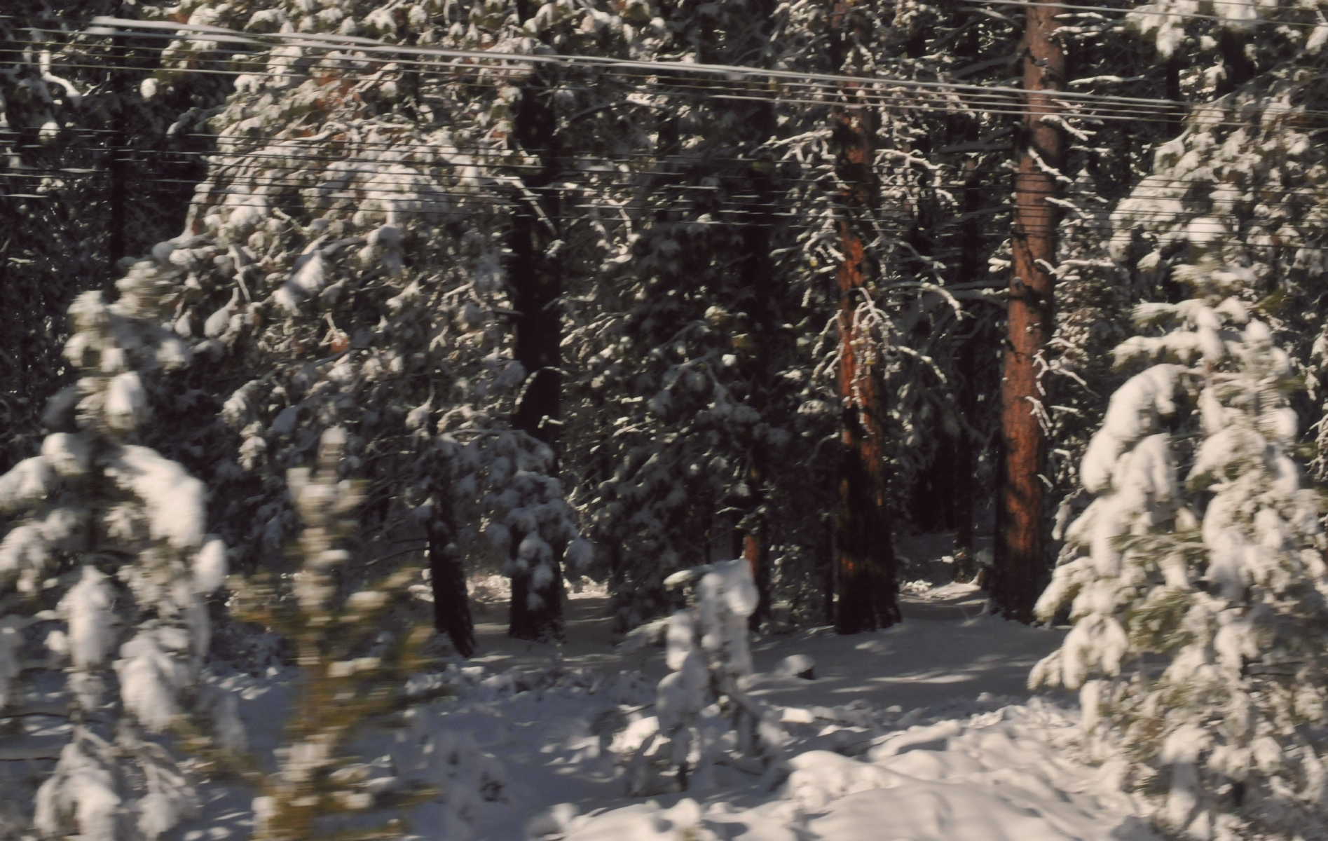 ./Amtrak_Snow_Oregon_20180226_100910_C18_3243.jpg