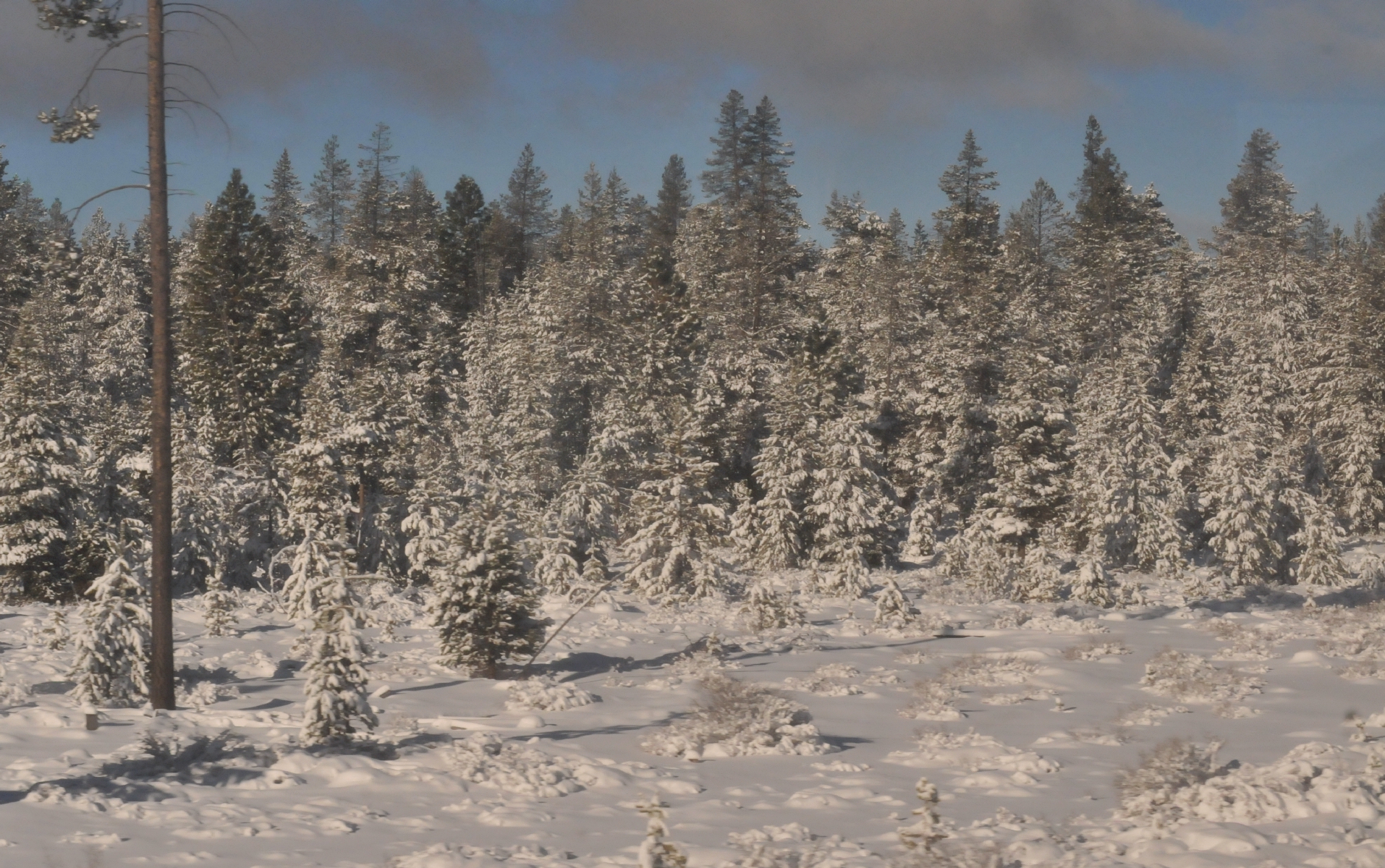 ./Amtrak_Snow_Oregon_20180226_100942_C18_3257.jpg