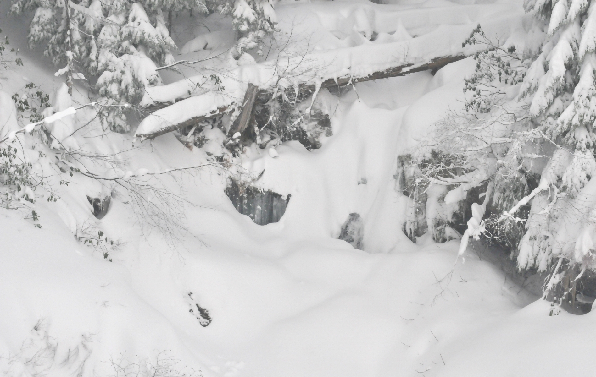 ./Amtrak_Snow_Oregon_20180226_113917_C18_3294.jpg