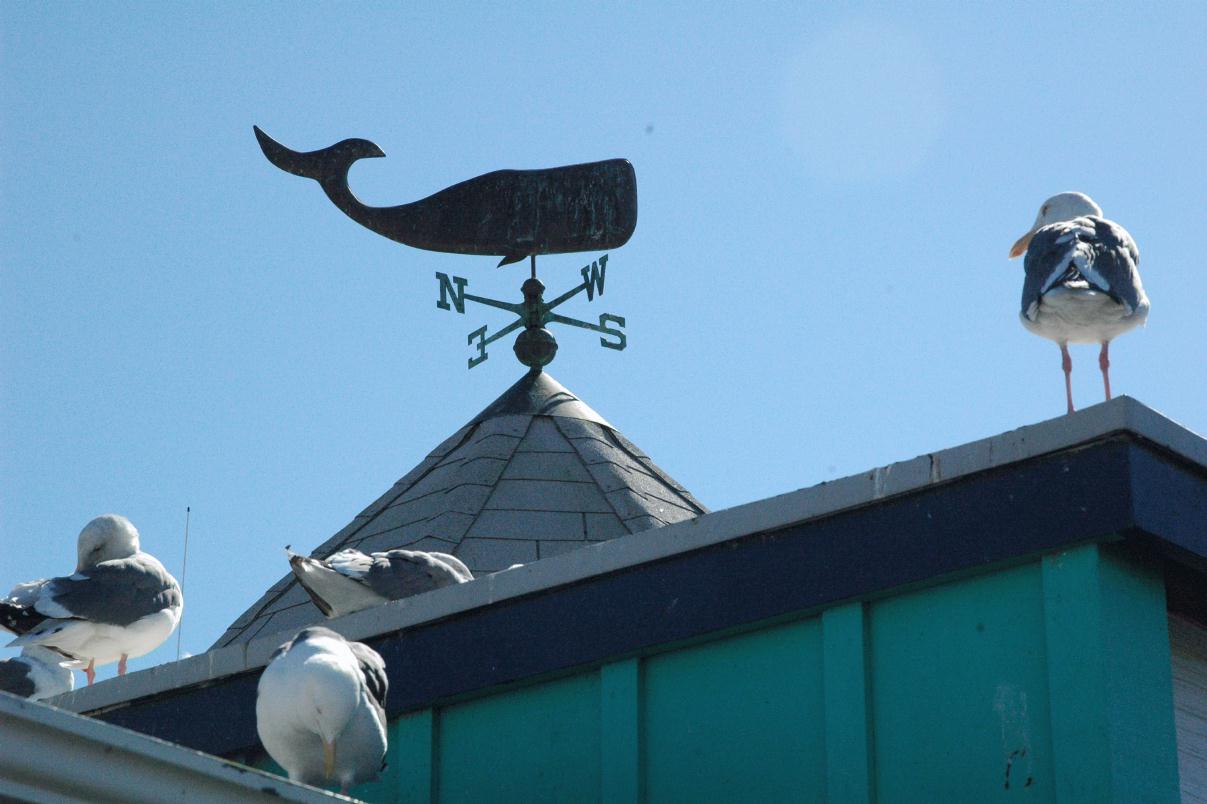 ./WeatherVane20060000_03.jpg