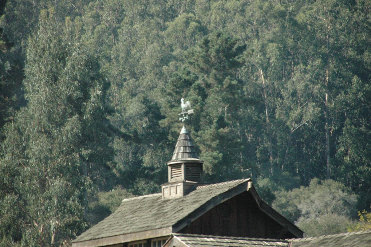 ./WeatherVane20060000_04.jpg