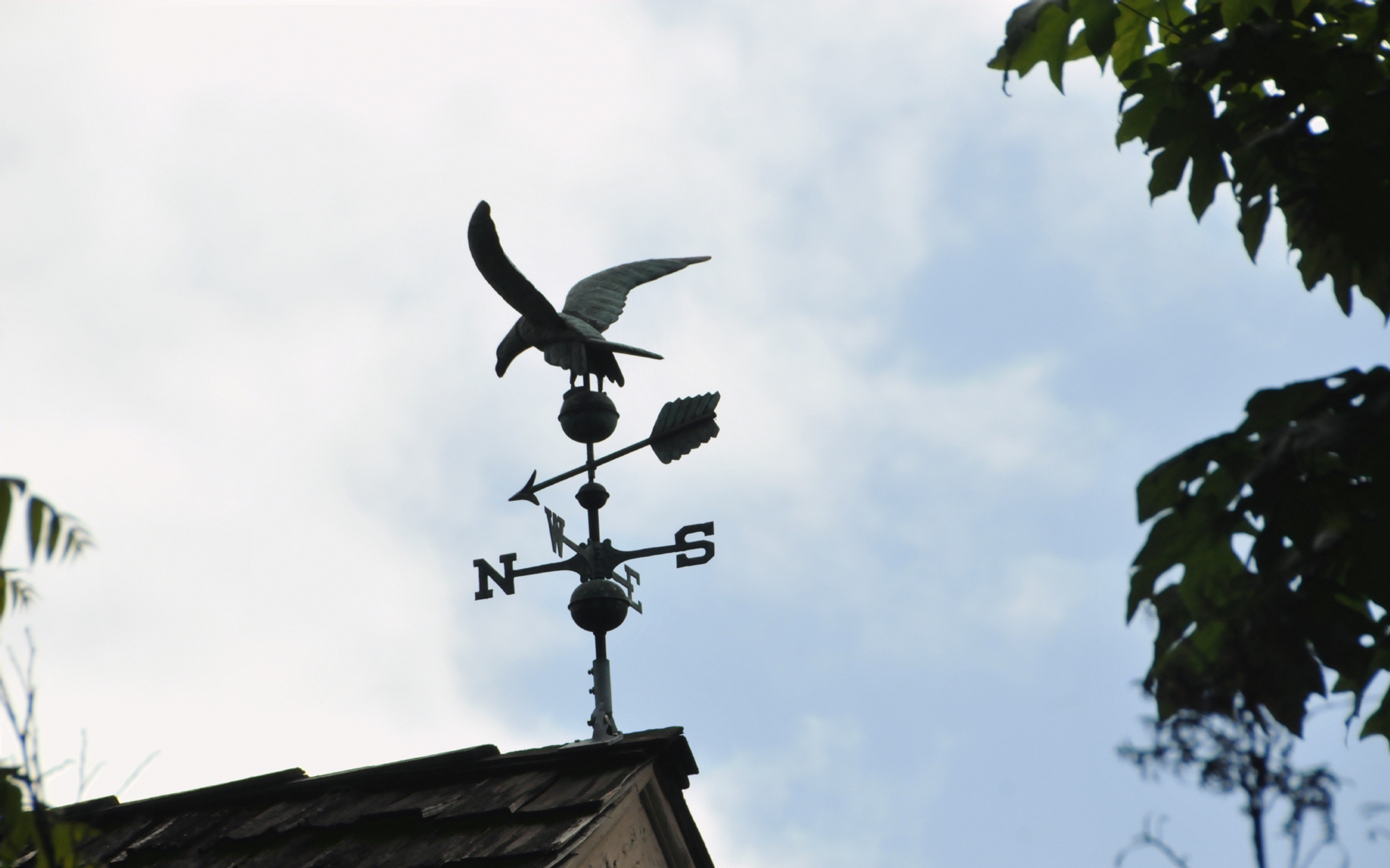 ./Weather_Vane_Eugene_Oregon_20240523_104512_C24_0138.jpg