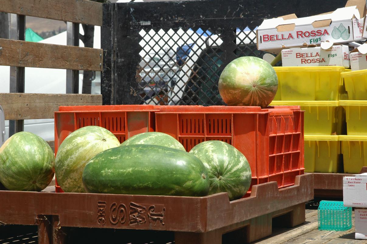 ./Watermellon_20070000_OnTruck_01.jpg