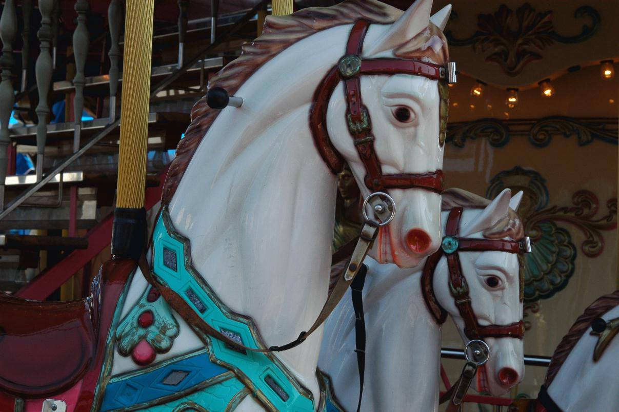 ./Pier39Carousel2007_02.jpg