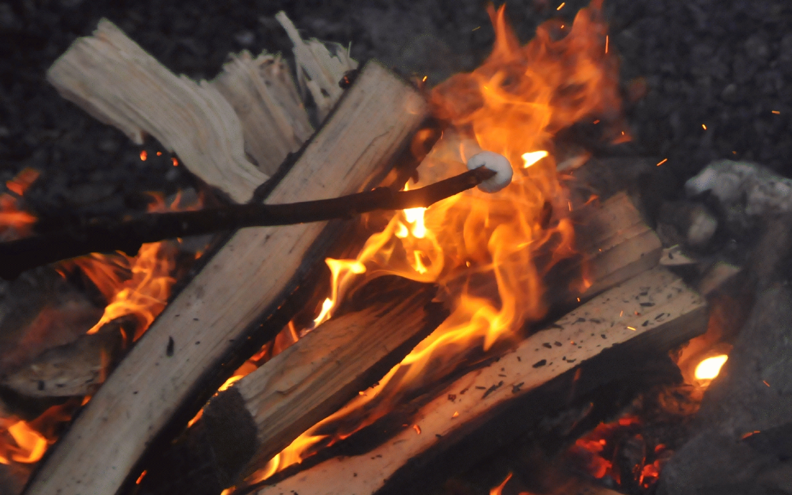 ./Fire_20150603_181105_Salmon_Bake_Juneau_Alaska_C15_2317.jpg