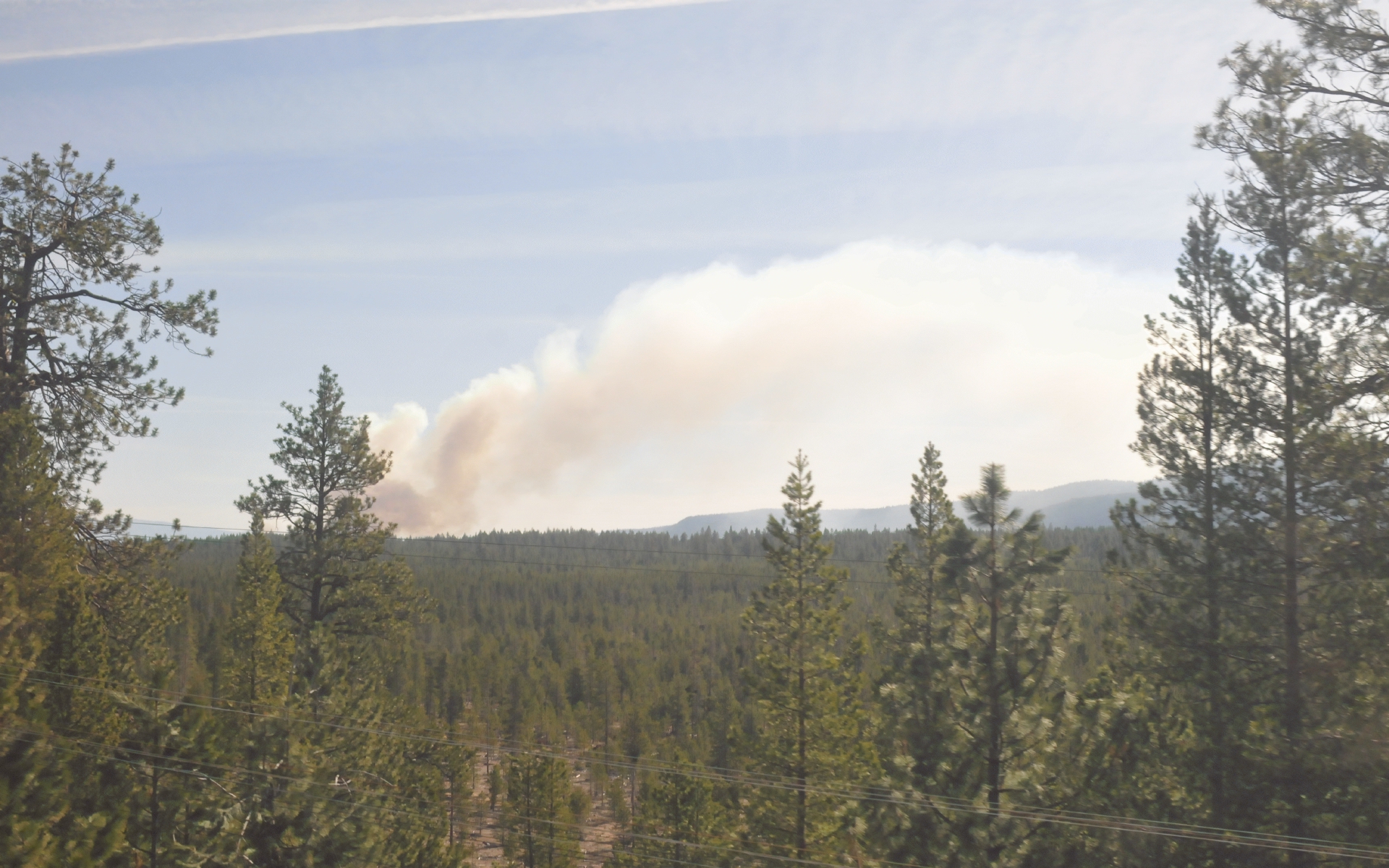 ./Forest_Fire_20190507_095537_C19_2989.jpg